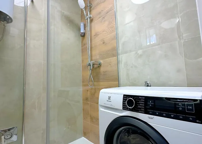 Luxury Ames Apartament